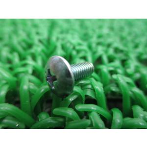 スカイウェイブ400 ムーバブルドライブカバーボルト 在庫有 即納 スズキ 純正 新品 バイク 部品...