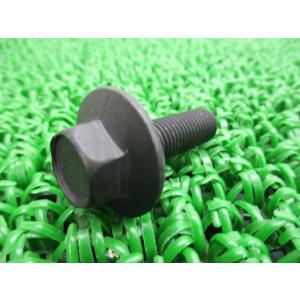 KLX250SR マグネットローターボルト 在庫有 即納 カワサキ 純正 新品 バイク 部品 在庫有...