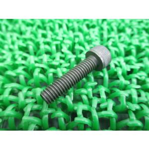 GSX1300Rハヤブサ クラッチリリースシリンダーボルト 在庫有 即納 スズキ 純正 新品 バイク...