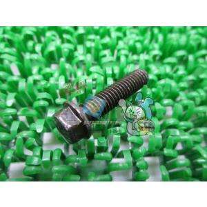 Ninja250 クラッチカバーボルト 在庫有 即納 カワサキ 純正 新品 バイク 部品 在庫有り ...