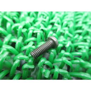 RGV250ガンマ キャブレータースクリュ スズキ 純正 新品 バイク 部品 DR200SE DR-...