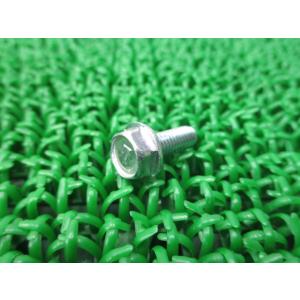 NinjaZX-10R フランジボルト 在庫有 即納 カワサキ 純正 新品 バイク 部品 6X16 ...
