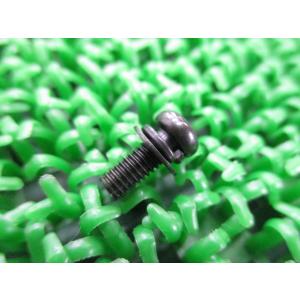 ZX-10R クラッチレバーホルダースクリュー カワサキ 純正 新品 バイク 部品 Z1000 Ni...