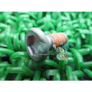 YZ250F ブレーキディスクスクリュー 在庫有 即納 ヤマハ 純正 新品 バイク 部品 901-5...