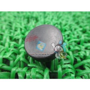 ZX-10R センタースタンドダンパー カワサキ 純正 新品 バイク 部品 Dトラッカー KS-I ...