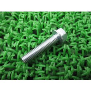 ZRX1200R カムチェーンガイドボルト カワサキ 純正 新品 バイク 部品 エストレヤRS ZZ...