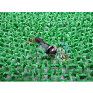 レブル250 ブリーザーチャンバースクリュー ホンダ 純正 新品 バイク 部品 ナイトホーク250 ...