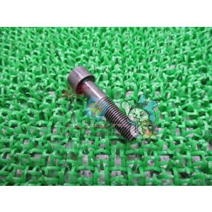 CB400SF リアブレーキキャリパーボルト 在庫有 即納 ホンダ 純正 新品 バイク 部品 CB1...