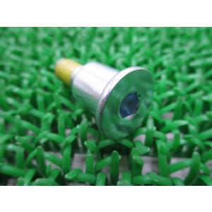 スカイウェイブ400 カムチェーンテンショナーボルト スズキ 純正 新品 バーグマン400 GSX1...