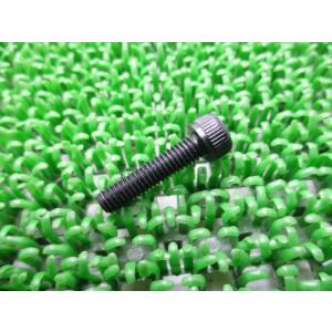 SR400 シリンダーヘッドヘキサゴンボルト 在庫有 即納 ヤマハ 純正 新品 バイク 部品 XJR...