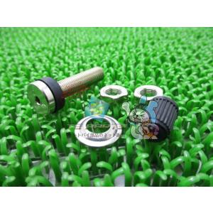 GPZ900R タイヤバルブセット 在庫有 即納 カワサキ 純正 新品 バイク 部品 Z1000 K...