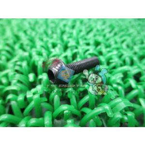 Ninja400R アッパーカウルボルト 在庫有 即納 カワサキ 純正 新品 バイク 部品 Z100...