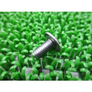 ZRX1200DAEG チェーンカバーボルト 在庫有 即納 カワサキ 純正 新品 バイク 部品 6x...