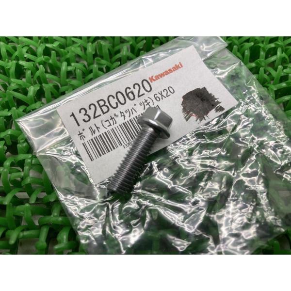 DトラッカーX エンジンカバーボルト 在庫有 即納 カワサキ 純正 新品 バイク 部品 スーパーシェ...