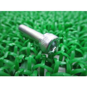 Ninja250 ステーターコイルボルト 在庫有 即納 カワサキ 純正 新品 バイク 部品 在庫有り...