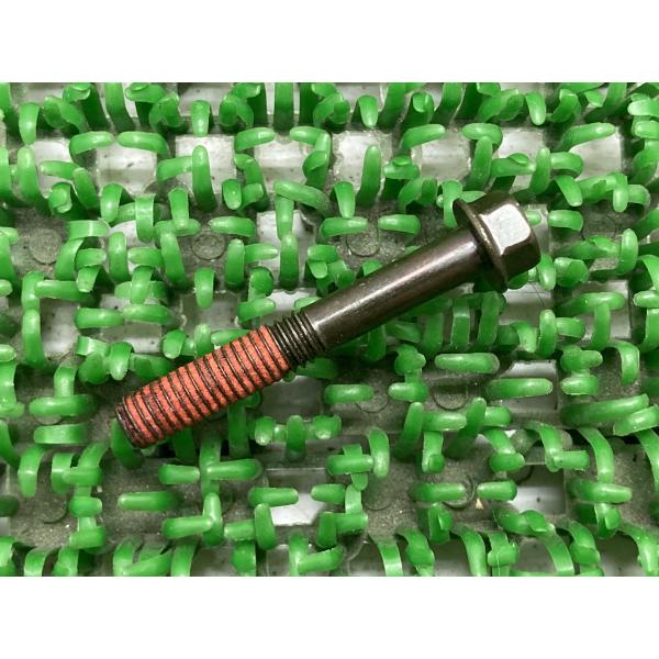 GPZ900R クラッチカバーボルト 在庫有 即納 カワサキ 純正 新品 バイク 部品 在庫有り 即...