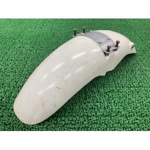 カワサキ（Kawasaki） NINJA250R フロントフェンダー パール 35004