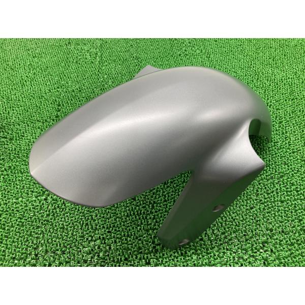 R1200RS フロントフェンダー 銀 4663 8556663 BMW 純正 中古 2015年式外...