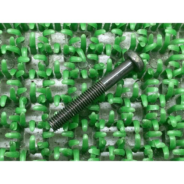 SR400 ジェネレータースクリュー 在庫有 即納 ヤマハ 純正 新品 バイク 部品 車検 Genu...