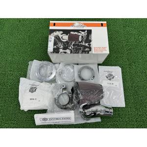 WirusWin（ウイルズウィン） FTR223 FTR（MC34）用 サイレンサー型エア