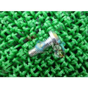 RZ250R ブレーキディスクローターボルト 在庫有 即納 ヤマハ 純正 新品 バイク 部品 901...