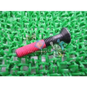 Ninja250 ハンドルウェイトボルト 在庫有 即納 カワサキ 純正 新品 バイク 部品 在庫有り...