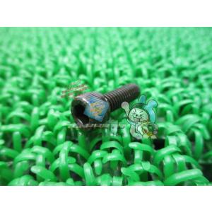 ZRX1100 ZRX1200R ラジエターボルト 在庫有 即納 カワサキ 純正 新品 バイク 部品...