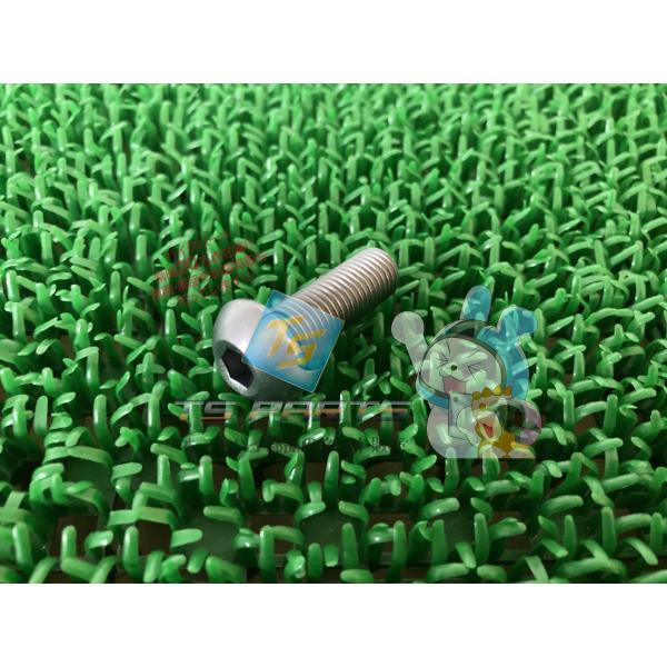 ZX-10R エンジンブラケットボルト 在庫有 即納 カワサキ 純正 新品 バイク 部品 在庫有り ...