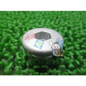 XJR1300 クランクケースプラグ 在庫有 即納 ヤマハ 純正 新品 バイク 部品 T-MAX F...