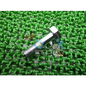 YZF-R1 ピックアップフランジボルト 在庫有 即納 ヤマハ 純正 新品 バイク 部品 95814...