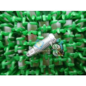 チョイノリ ドレンスクリュー 在庫有 即納 スズキ 純正 新品 バイク 部品 DR-Z70 車検 G...