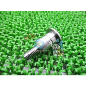 CBR600RR チェンジピボットボルト ホンダ 純正 新品 バイク 部品 PC37 シフトペダルボ...