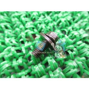 ZRX1200DAEG ビキニカウルボルト カワサキ 純正 新品 バイク 部品 Z250 ER-4n...