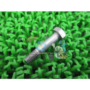 SR400 ブレーキペダルボルト 在庫有 即納 ヤマハ 純正 新品 バイク 部品 XJR400 車検...