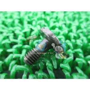 セロー225 サイドカバースクリュー 在庫有 即納 ヤマハ 純正 新品 バイク 部品 YAMAHA ...