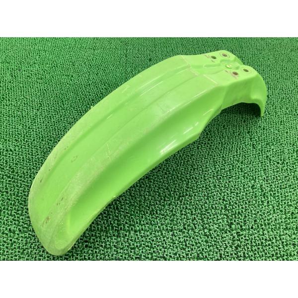 Dトラッカー KLX250 フロントフェンダー 緑 35004-1294 カワサキ 純正 中古 バイ...