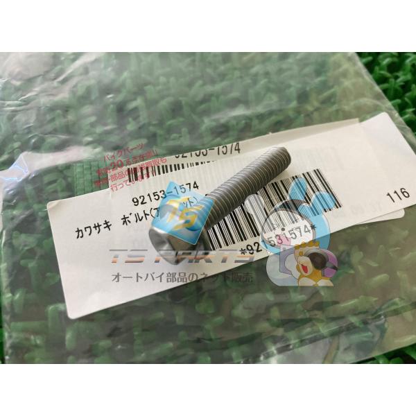 ZX-14R エンジンカバーボルト カワサキ 純正 新品 バイク 部品 1400GTR NinjaZ...