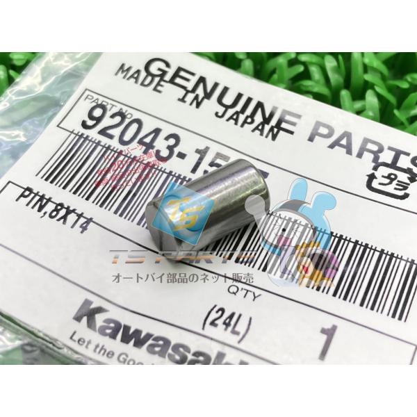 ZX-10R クランクケースピン 在庫有 即納 カワサキ 純正 新品 バイク 部品 NinjaH2 ...