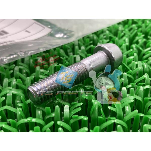 ZX-10R フロントフォークボルト 在庫有 即納 カワサキ 純正 新品 バイク 部品 NinjaZ...