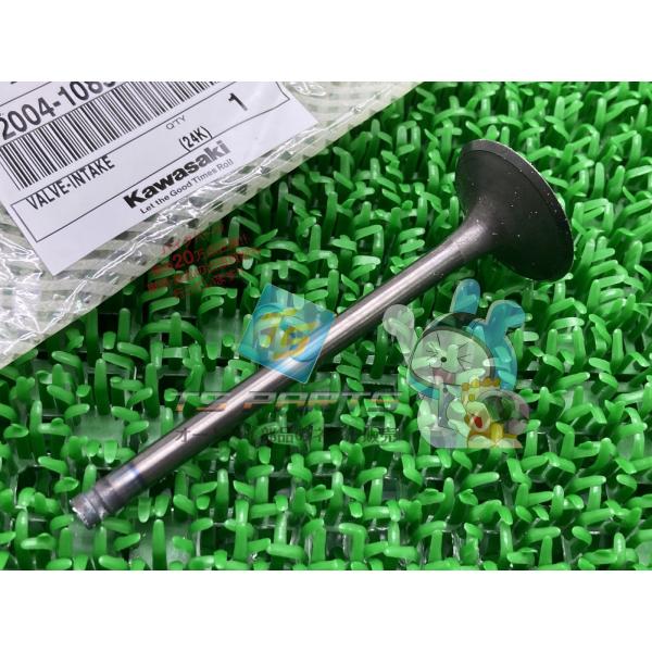 エリミネーター250 インテークバルブ 在庫有 即納 カワサキ 純正 新品 バイク 部品 GPz90...