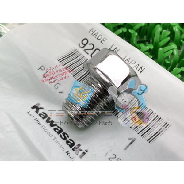 ZX-14R オイルパンプラグ 在庫有 即納 カワサキ 純正 新品 バイク 部品 NinjaZX-1...