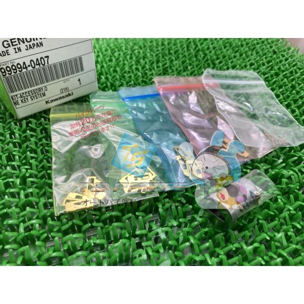 NinjaH2 ワンキーシステム 在庫有 即納 カワサキ 純正 新品 バイク 部品 NINJA100...