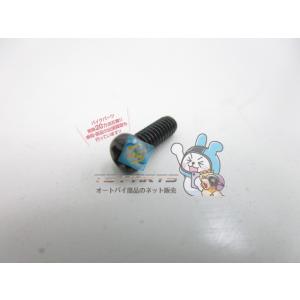 バリオス II メーターノブスクリュー 在庫有 即納 カワサキ 純正 新品 バイク 部品 車検 Ge...