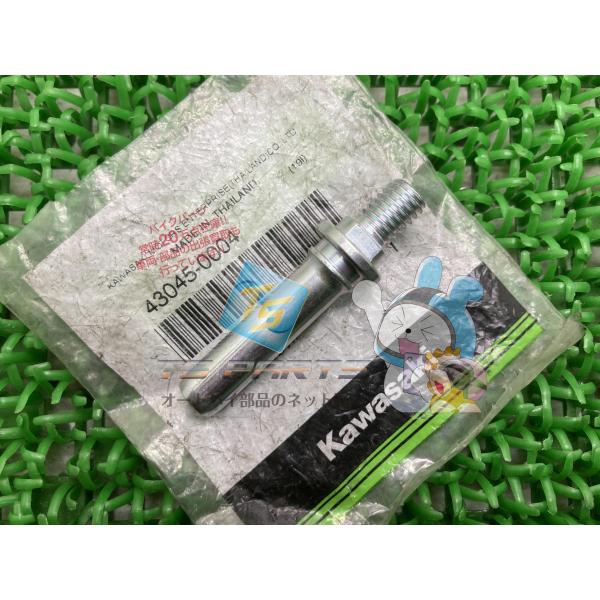 W800 リアブレーキパッドシャフト カワサキ 純正 新品 バイク 部品 Z250 ヴェルシスX25...