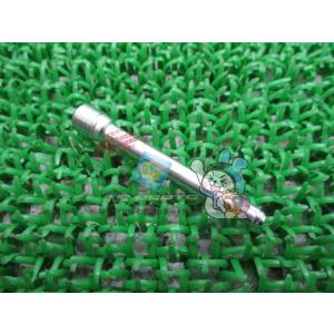 Ninja250R ブレーキキャリパーハンガーピン 在庫有 即納 カワサキ 純正 新品 バイク 部品...