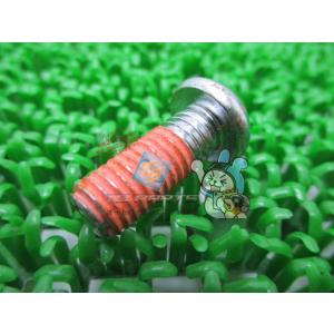 GSX1300Rハヤブサ ロックセットボルト 在庫有 即納 スズキ 純正 新品 バイク 部品 8X2...