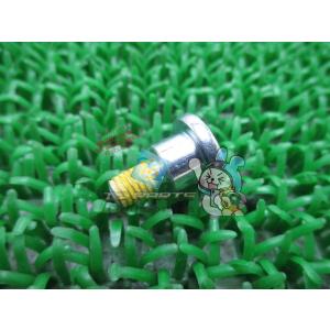 ZX-10R オイルポンプボルト 在庫有 即納 カワサキ 純正 新品 バイク 部品 NinjaZX-...