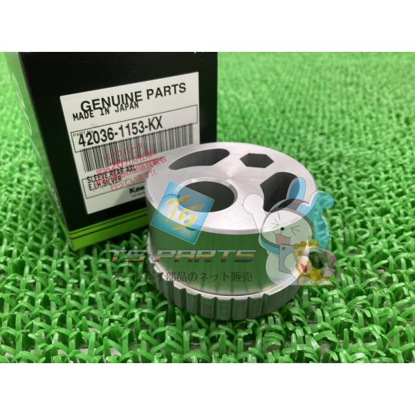 Z1000 エキセントリックカラー カワサキ 純正 新品 バイク 部品 ZRX1200DAEG ZR...