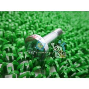 GN125 リアスプロケットマウンティングドラムボルト 在庫有 即納 スズキ 純正 新品 バイク 部...