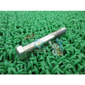 Z1 Z-I Z2 Z-II エンジンマウントボルト 在庫有 即納 カワサキ 純正 新品 バイク 部...